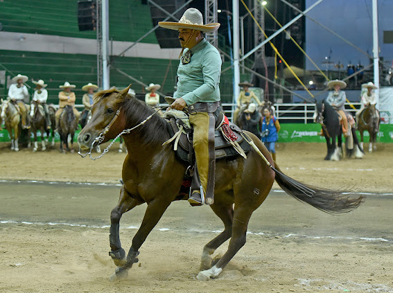 Matías Rubio Arellano dando lados a su cabalgadura durante la cala de caballo de Rancho San Martín