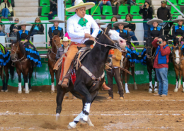 Histórica la cala de caballo del gobernador Ricardo Gallardo Cardona para RG2 de San Luis Potosí