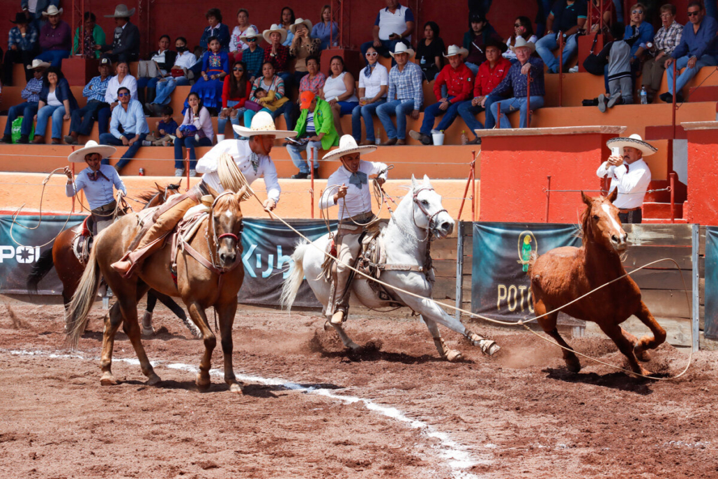 Arnulfo Basurto Vega acertando una de sus tres manganas a caballo que cuajó para su equipo, Rancho El Cócono