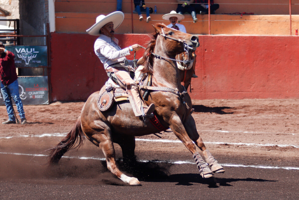 La cala de caballo de don Rafael Osornio Sánchez, del equipo Fuerza Mexiquense, entregó los primeros 35 puntos a la causa