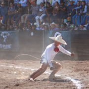 Luis Ángel Briseño derribando una de sus manganas a pie para los Tres Regalos
