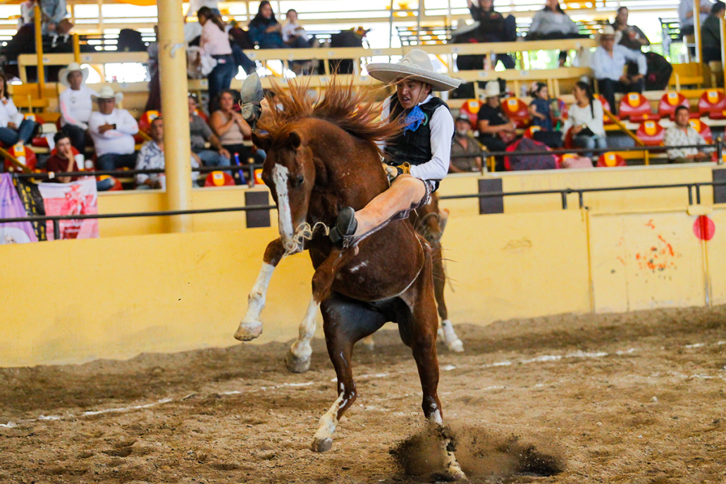 Gran monta de yegua que levantó de sus butacas al respetable, así como todas las emociones de la charrería en los Juegos Nacionales CONADE 2024