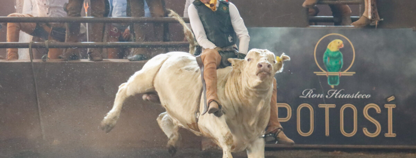 Luis Kaled Loredo Torres lució una buena jinetada de toro de 25 unidades para el Perrón QH