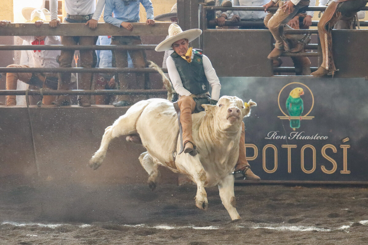Luis Kaled Loredo Torres lució una buena jinetada de toro de 25 unidades para el Perrón QH