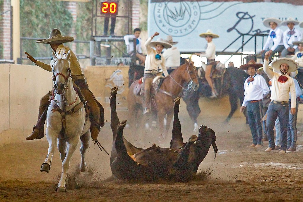 Manuel Armando Esparza Corral abanicando a un toro durante el coleadero por el selectivo juvenil de Aguascalientes, que clasificó a la final