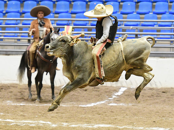 Soberbia jineteada de toro ejecutó Jaime Arnulfo Valles García, de Hacienda El Refugio, cosechando 21 unidades