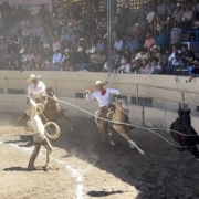 Dos manganas a pie cuajó Jorge Tadeo Flores, para los charros Unión Laguna en la etapa dos del estatal de Durango zona La Laguna. 