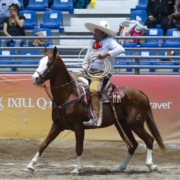 6.5 – Mangana a caballo